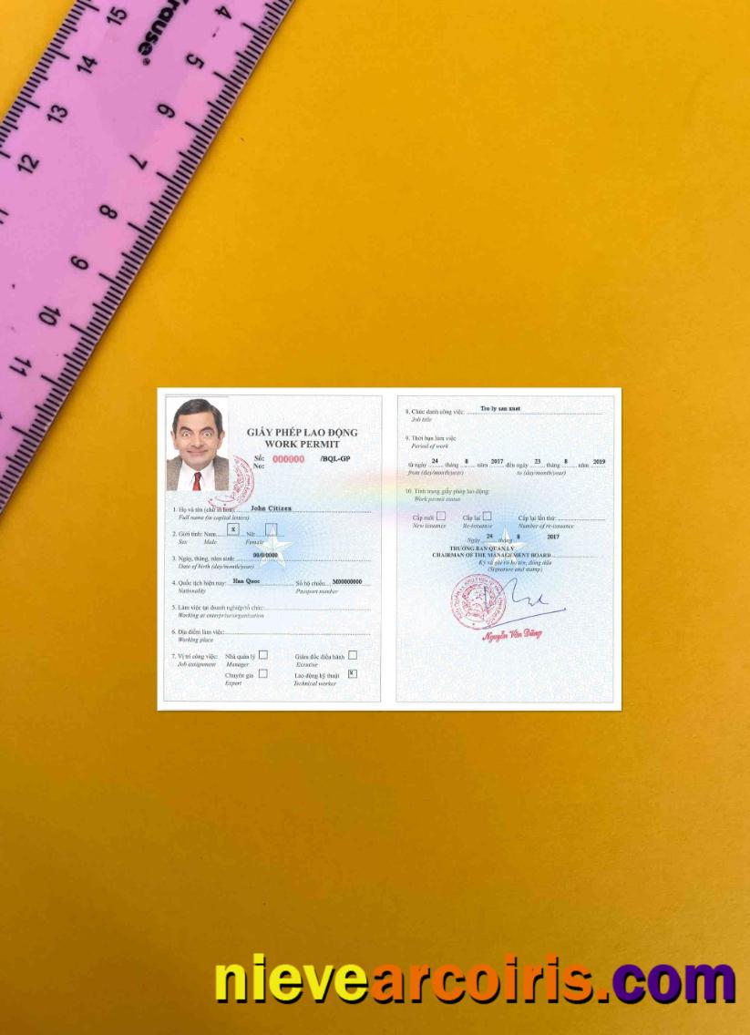Vietnam work permit version 2 photolook